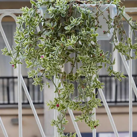 Galleria 38 ゲストハウス ラ・スペツィア