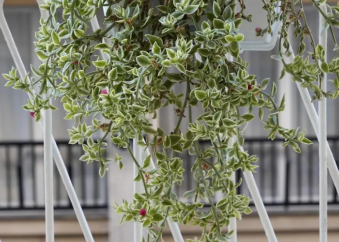 Galleria 38 Penzion La Spezia